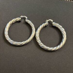 1 Pair of Silver Medium Size Hoops